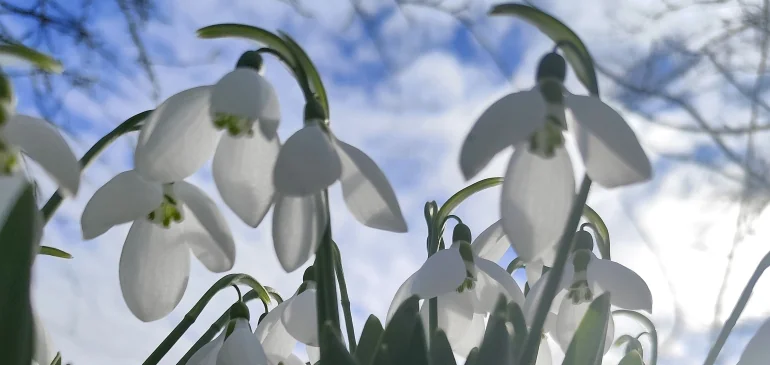 Ez az év eddigi legmelegebb napja