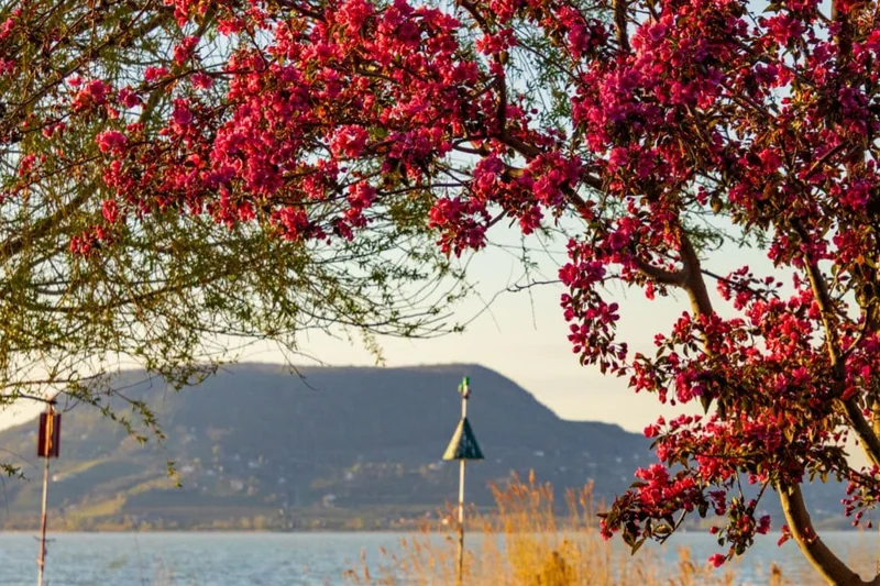 A hét legvégéig marad a meleg tavasz
