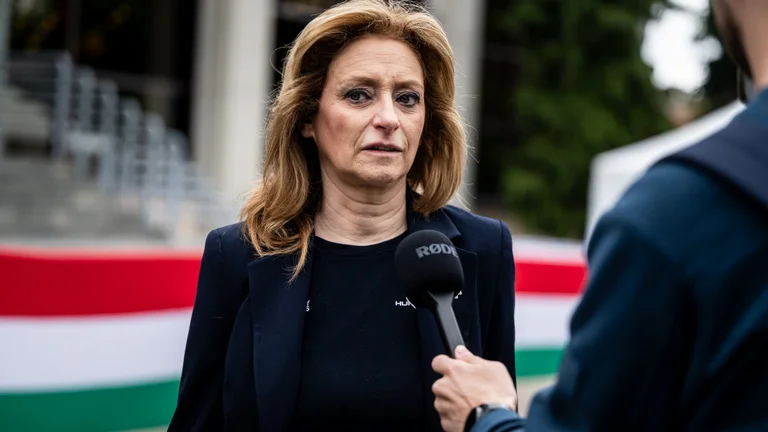 Súlyos hibákról és a gyermekvédelem mulasztásairól beszélt Ferencz Orsolya