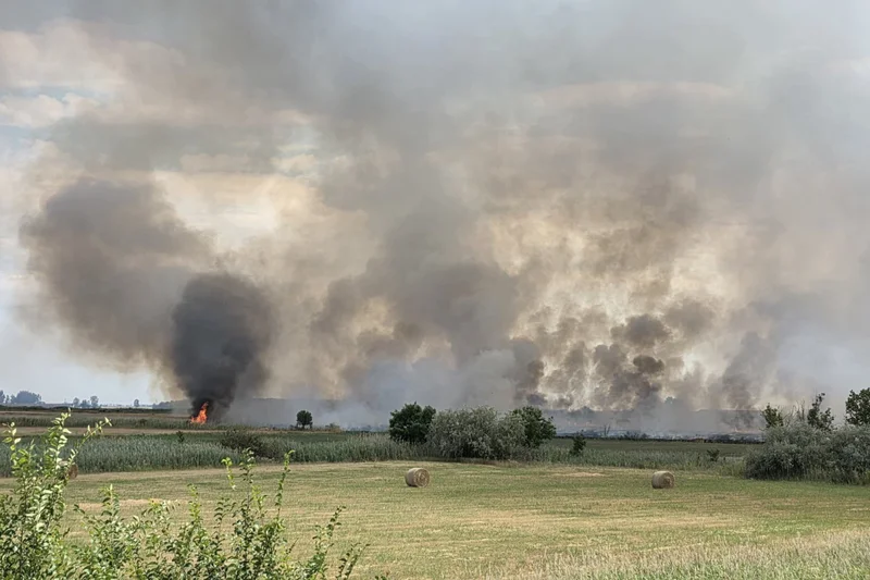 Felcsaptak a lángok Kaba határában